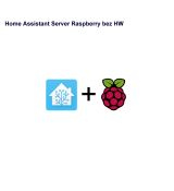 Home Assistant Server Raspberry bez HW